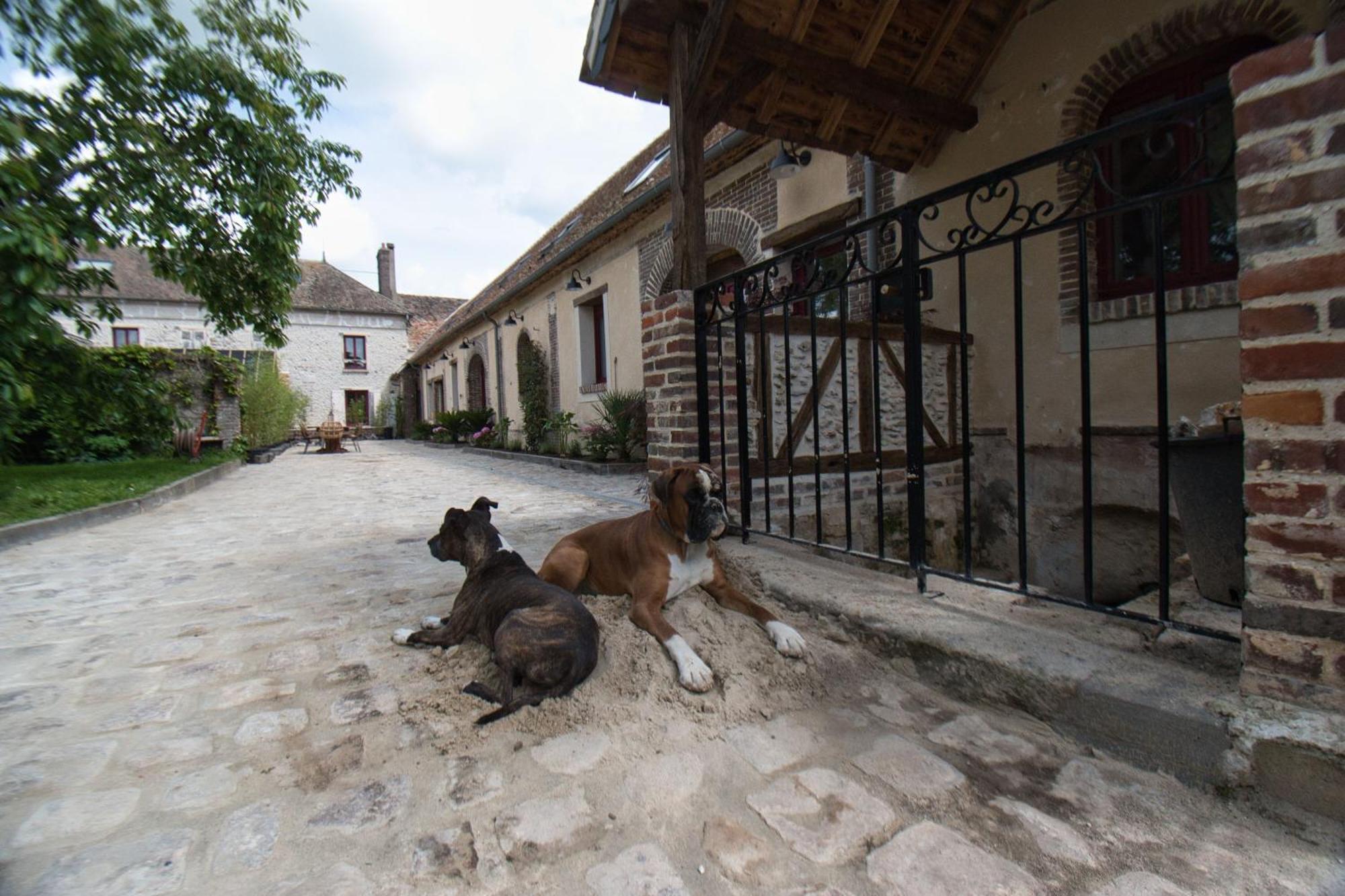 Le Relais Des Caleches - La Chaleureuse Bed and Breakfast Bu (Eure-et-Loir) Εξωτερικό φωτογραφία